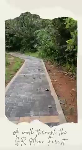 Plot For Sale  In Godrej Reserve  In Devanahalli