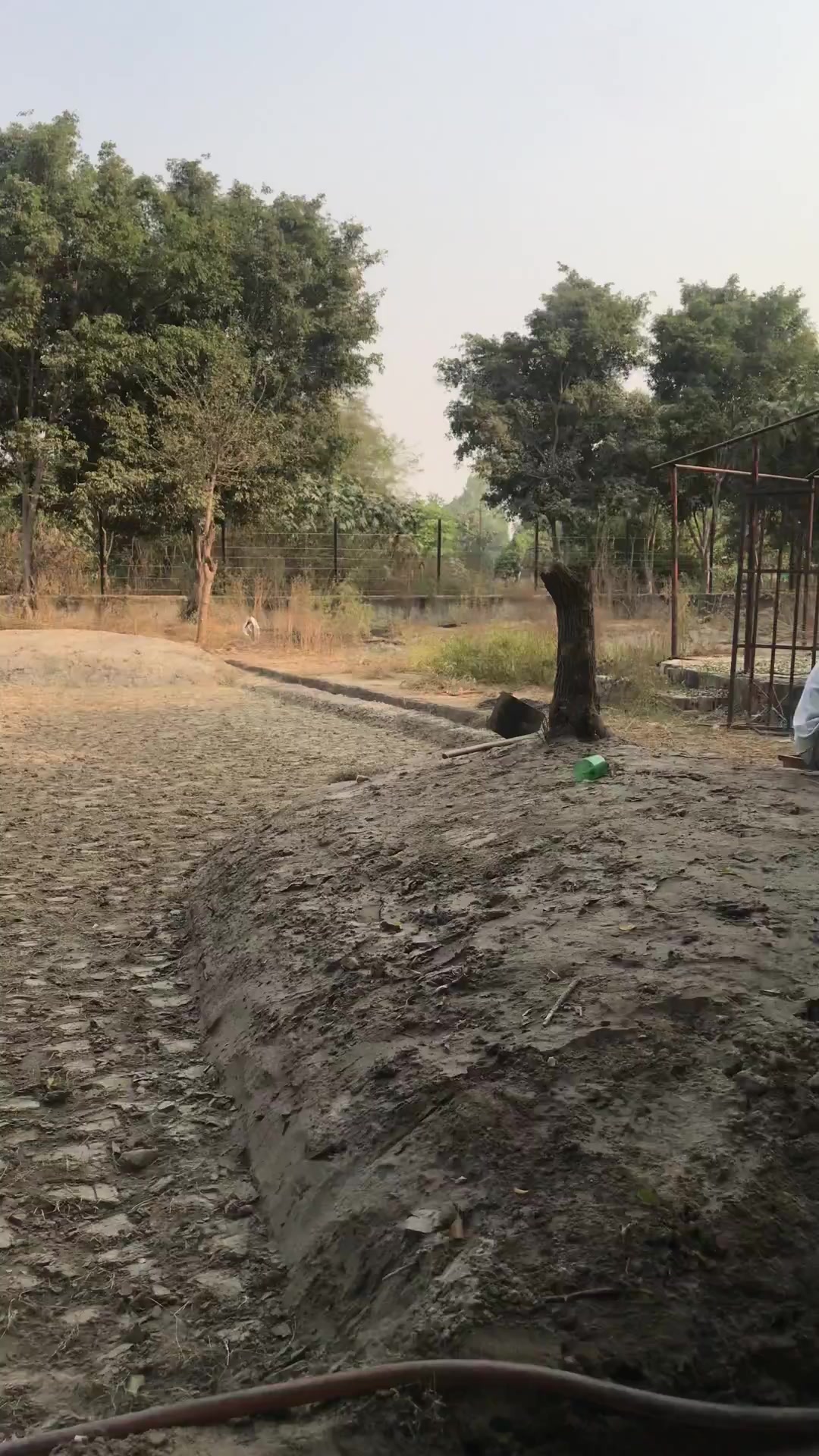 Plot For Sale  In Dpl Flora Farms In Sector 135