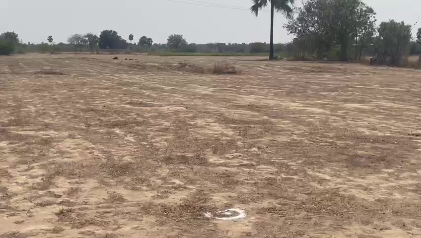 Plot For Sale  In Rutvika Homes In Habsiguda