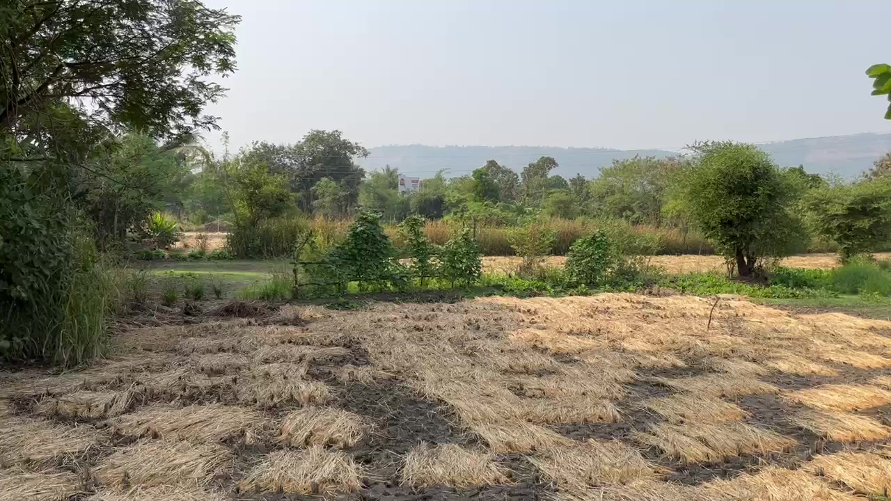 Plot For Sale  In Gateway Of India