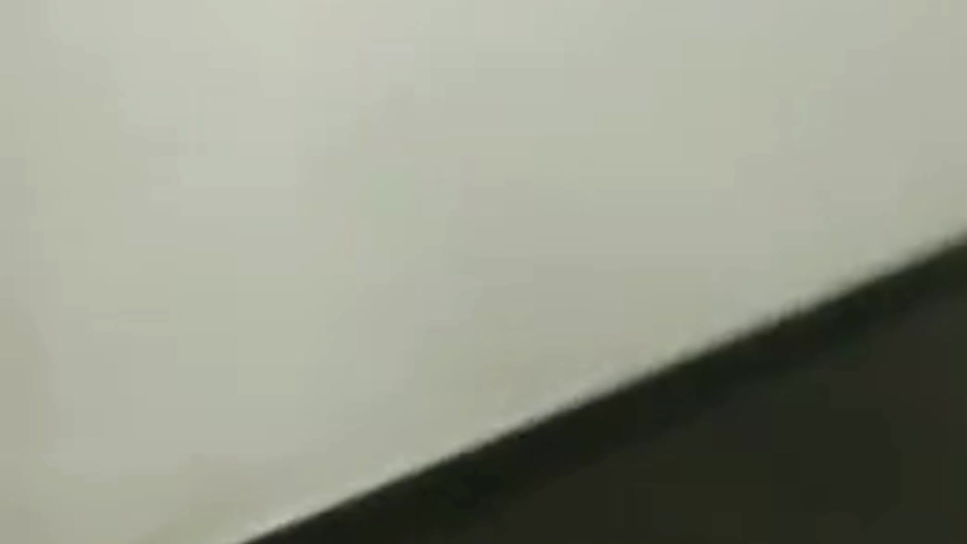 1 BHK Flat In Slv Elite for Rent  In Slv Elite