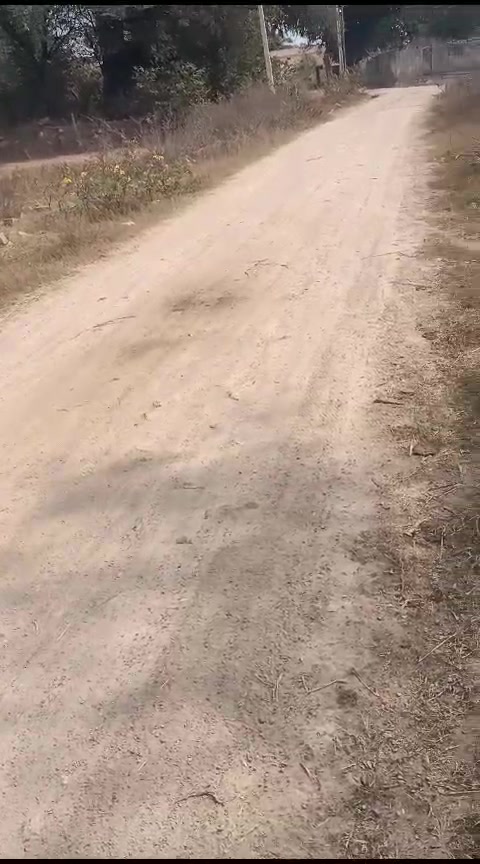 Plot For Sale  In Murtuzaguda
