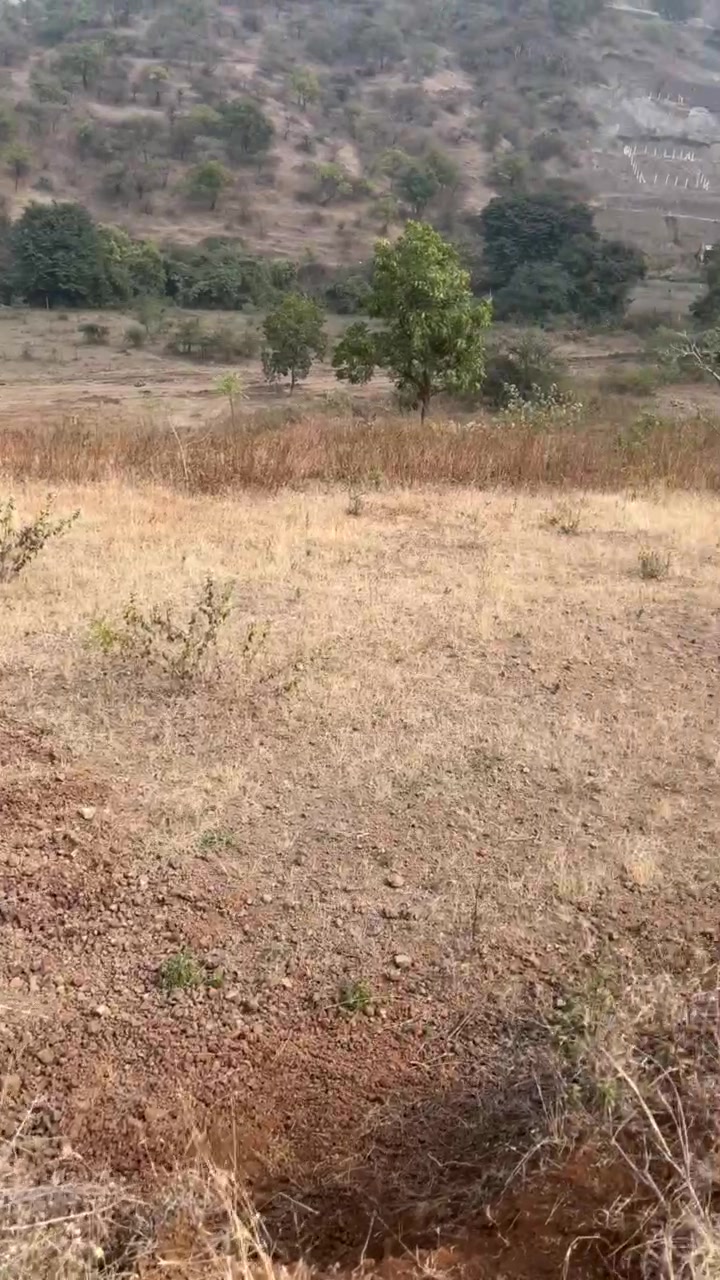 Plot For Sale  In Jambhulwadi