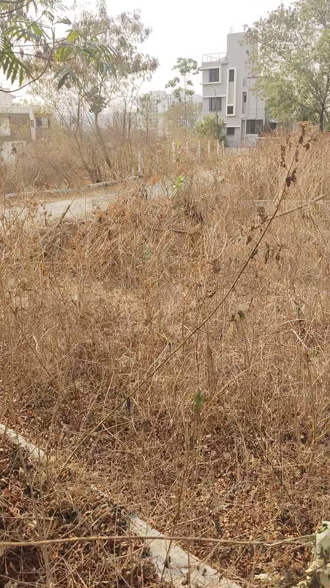 Plot For Sale  In Aditya Nisarg In Pirangut