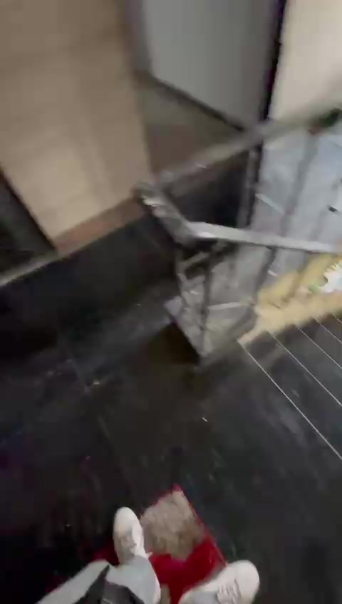 3 BHK Flat In Ganga Triveni Apartment for Rent  In Rohini