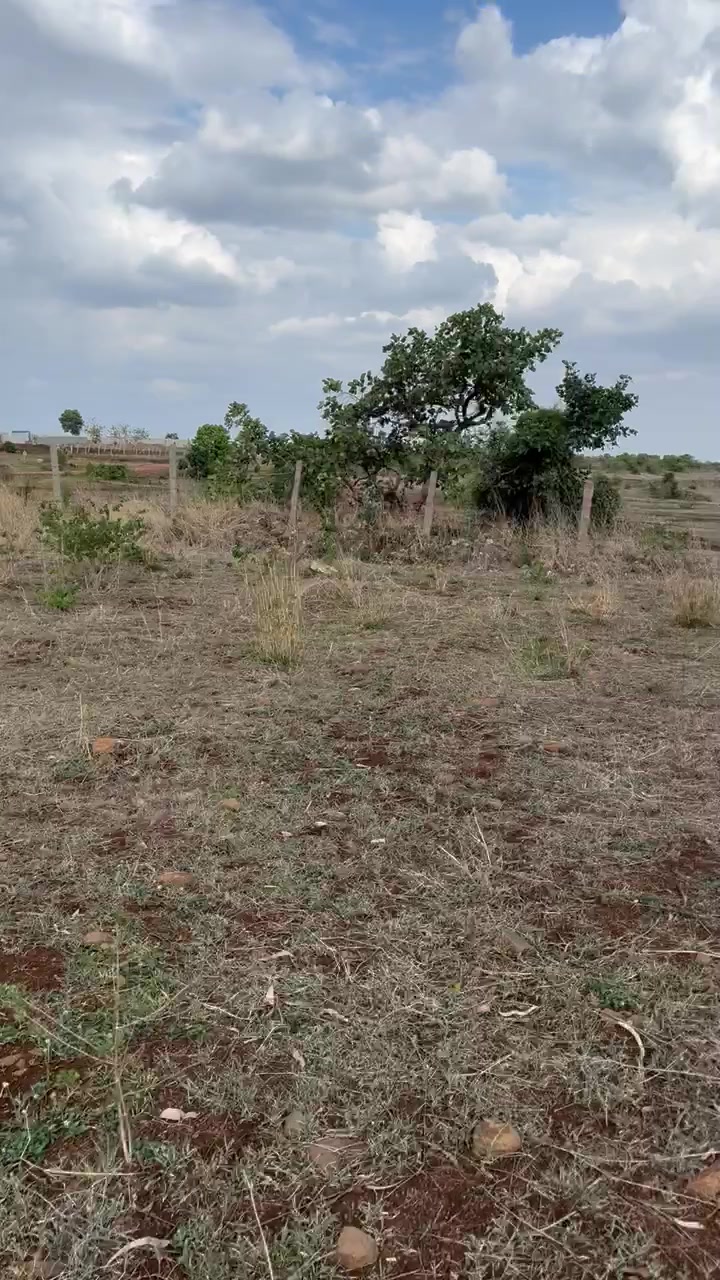 Plot For Sale  In Chevella Rd