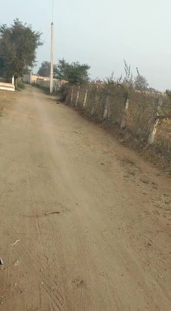 Plot For Sale  In Himayat