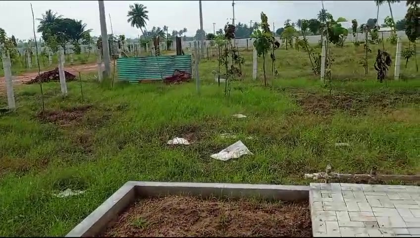 Plot For Sale  In Celebrity Forms In Chettipunyam
