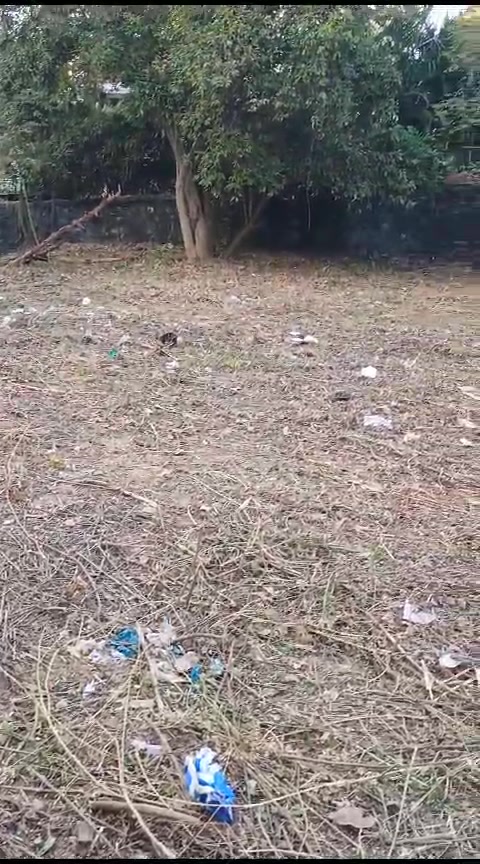 Plot For Sale  In Suchak Chs Malad  In Madh