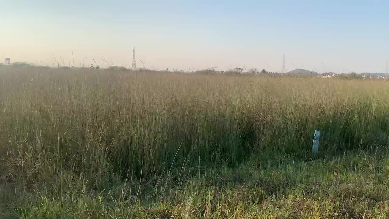 Plot For Sale  In Selvanagar