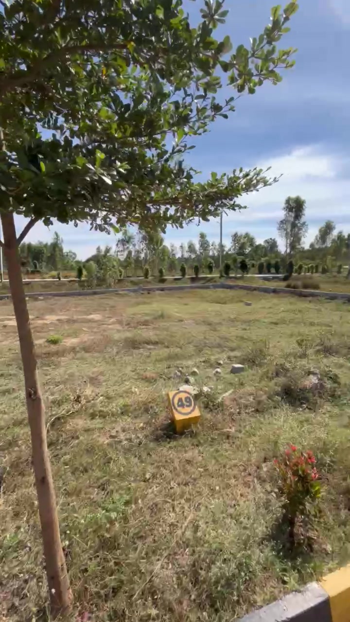 Plot For Sale  In Haragadde
