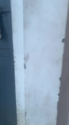 Industrial Building in Mayapuri, Delhi for Rent 