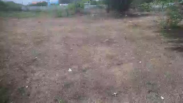 Plot For Sale  In Akshya Twon  In Sri Perambadur