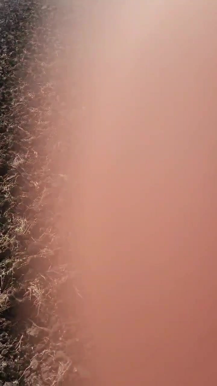 Plot For Sale  In Mumbai Central