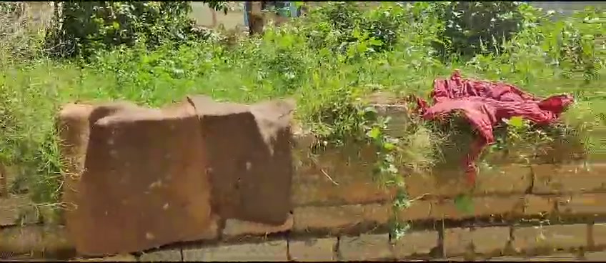 Plot For Sale  In Chokkanahalli