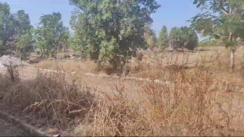 Plot For Sale  In Bbg Ventures  In Sadasivpet