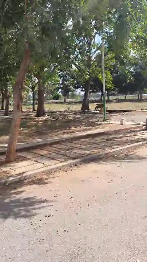 Plot For Sale  In Rm Green Square In Rm Green Square