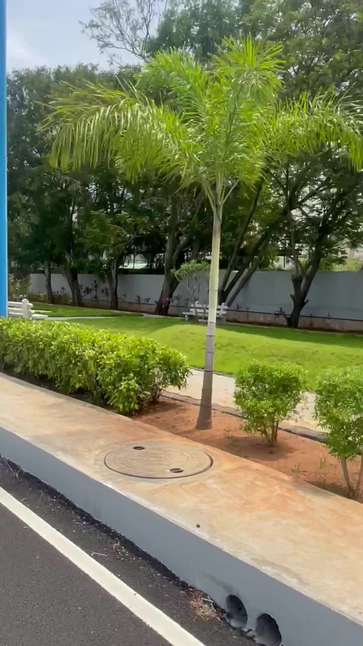 Plot For Sale  In Tvh Bloom In Sholinganallur