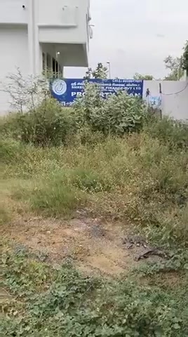 Plot For Sale  In Surapet