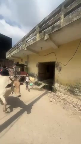 Plot For Sale  In Kulesara