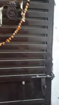 1 BHK Flat In Yamuna Expressway Authority Flat for Rent  In Yamuna Expressway