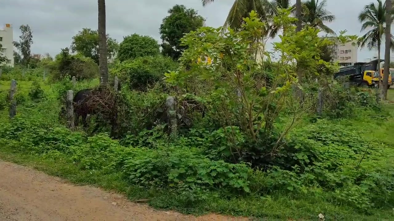 Plot For Sale  In Nagarur Colony