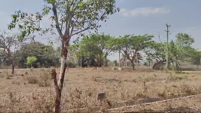 Plot For Sale  In Armanza Enclave In Armanza Enclave