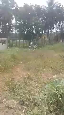 Plot For Sale  In Kempegowda Layout