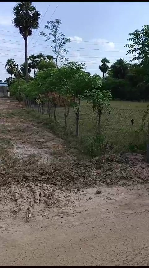 Plot For Sale  In Pakkam