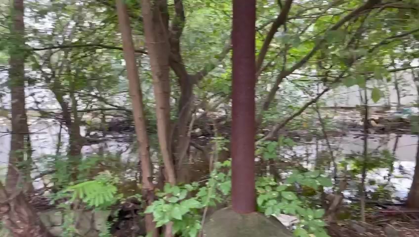 Plot For Sale  In Clasic  In Sholinganallur