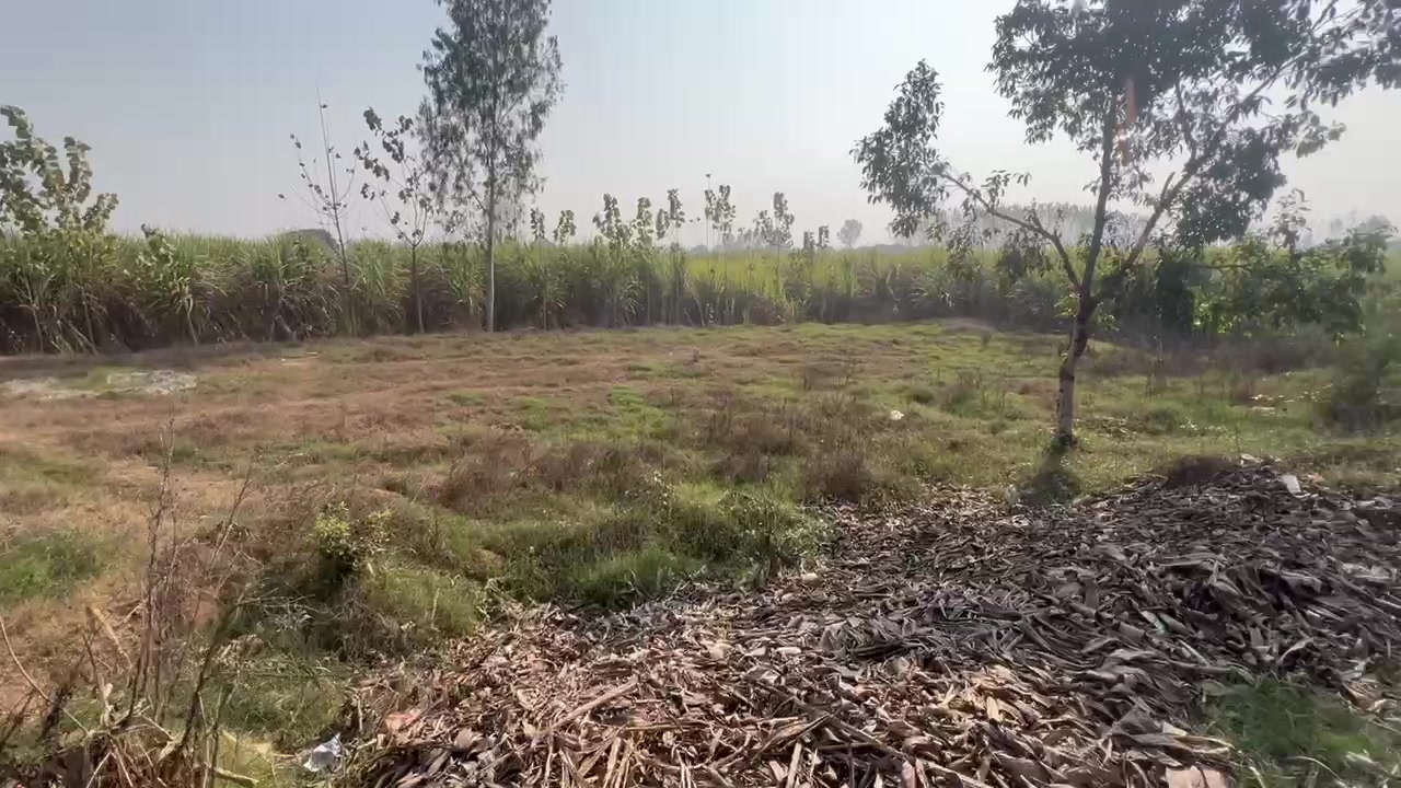 Plot For Sale  In Salarpur