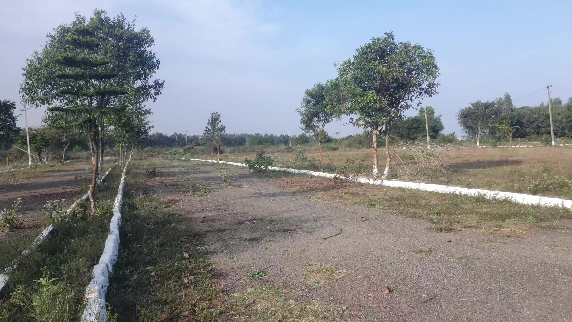 Plot For Sale  In Lake Medows In Lake Meadows