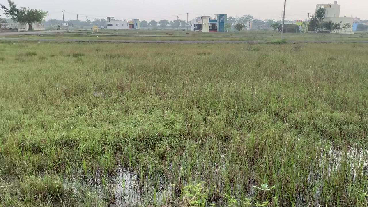 Plot For Sale  In Sai Shanthi Villa In Kavanur