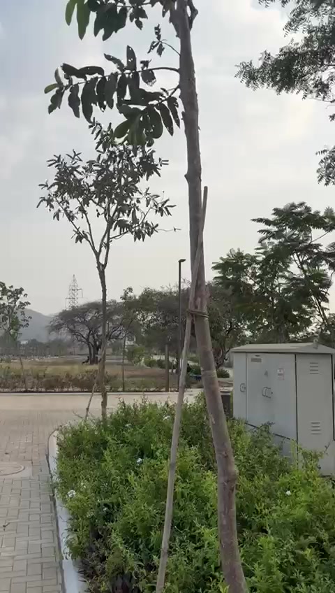 Plot For Sale  In Godrej Eden Estate  In Pimpri-chinchwad