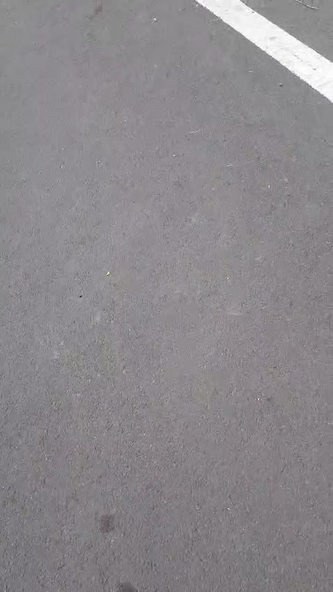 Plot For Sale  In Nigdi