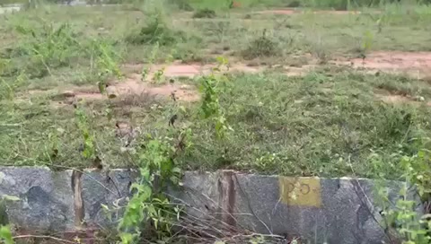 Plot For Sale  In Defense Harmonia Grande In Bk Halli Bagaluru Airport Road Boyalahalli