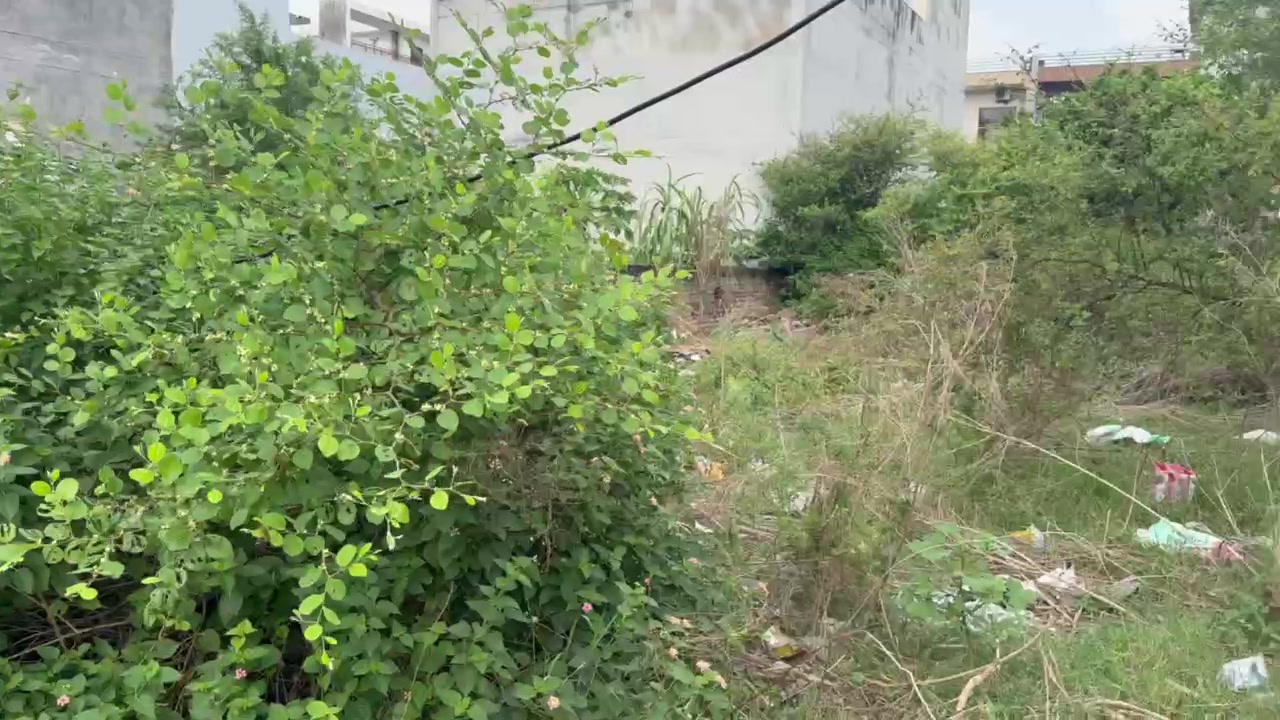 Plot For Sale  In Shastri Nagar