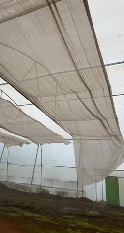 Plot For Sale  In Cloud 9 Bunglows