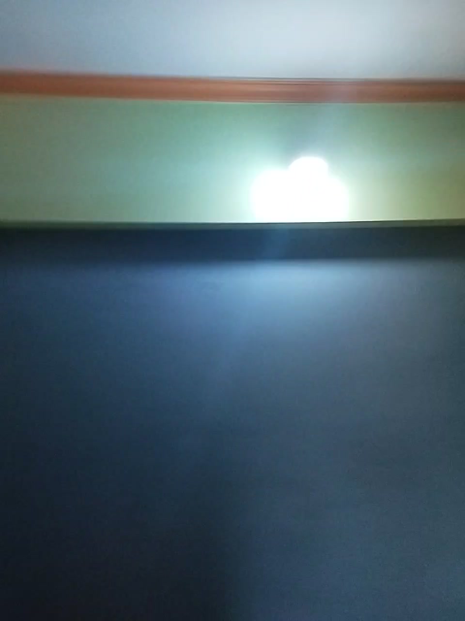 1 BHK Flat In Sumeru Tower Lokdhara Chs  for Rent  In Lokgram