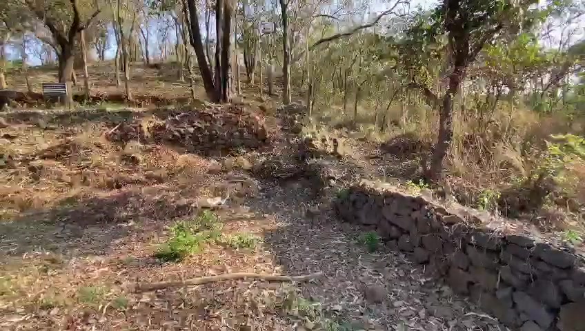 Plot For Sale  In Rule Goan