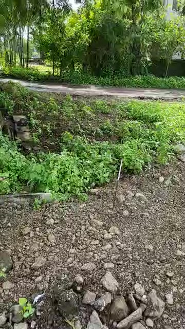 Plot For Sale  In Urse Road