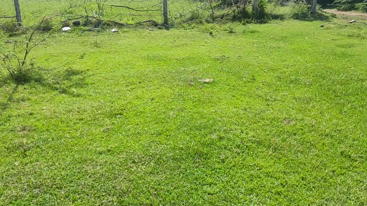 Plot For Sale  In Sri Guberar Avenue In Kalivanthapattu