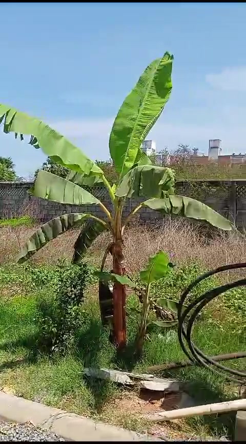 Plot For Sale  In Green Wood City In Navalur