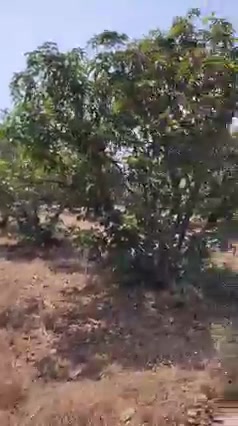 Plot For Sale  In Dream Valley Resorts In Nazeebnagar