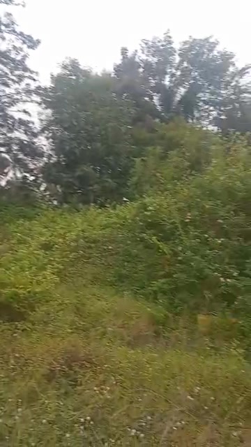 Plot For Sale  In Telecom Green Field Gardens - 3 In Gadenahalli