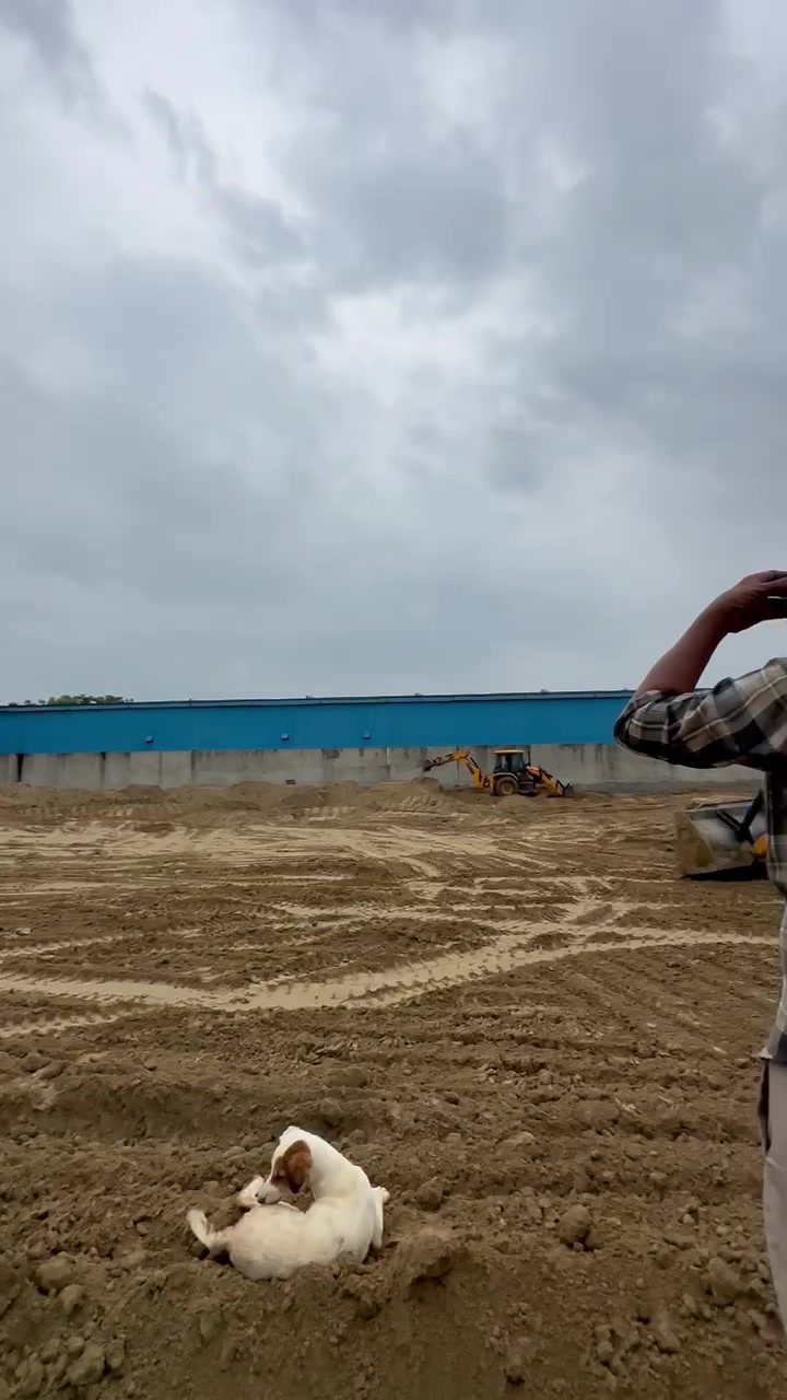 Plot For Sale  In Sector 9b