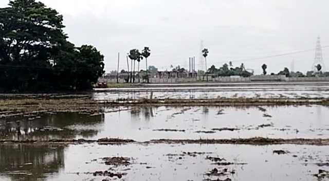 Plot For Sale  In Karanodai