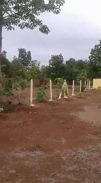 Plot For Sale  In Shahpur