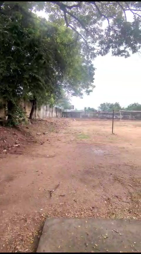 Plot For Sale  In Kotturpuram