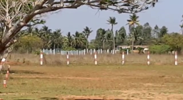 Plot For Sale  In Ark Property In Ark Property